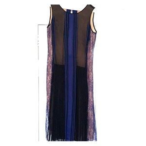 BCBG Navy and Black dress with nude lining